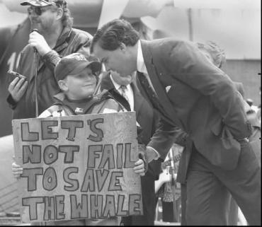 hc-the-hartford-whalers-beginning-to-end-20130-044